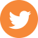 Twitter Icon - Hover